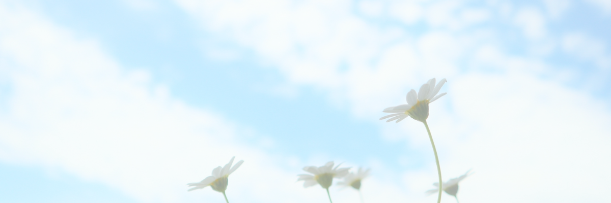 ごあいさつ